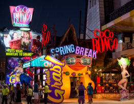 Cocobongo Baja